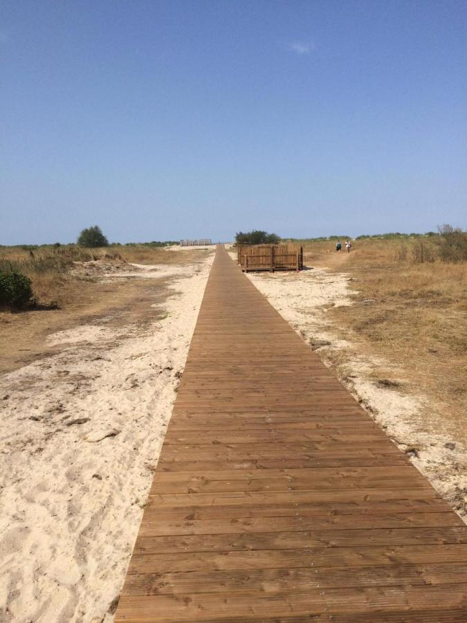 Strandhafer Шиллиг Экстерьер фото
